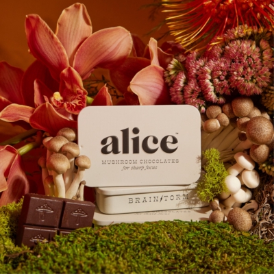 Expert reviews of alice Brainstorm Functional Mushroom Chocolates
