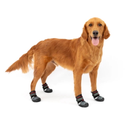 Kurgo dog boots sales