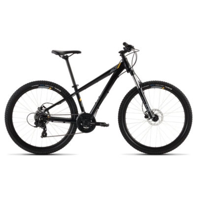 Raleigh talus 4 2021 sale