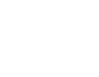 vortex