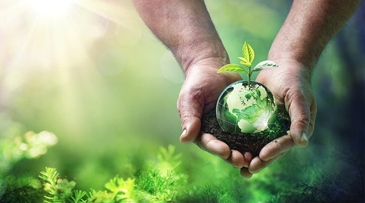 Experts’ Guide to Being Kind to the Earth - Blog - ExpertVoice