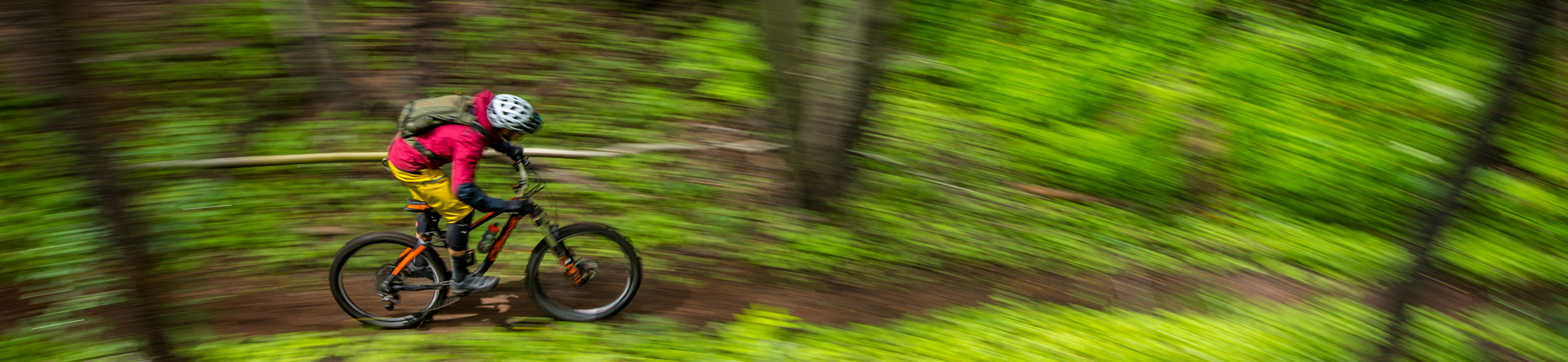  PEARL IZUMI Pro AmFIB Cycling Toe Cover, Black, Small/Medium :  Sports & Outdoors